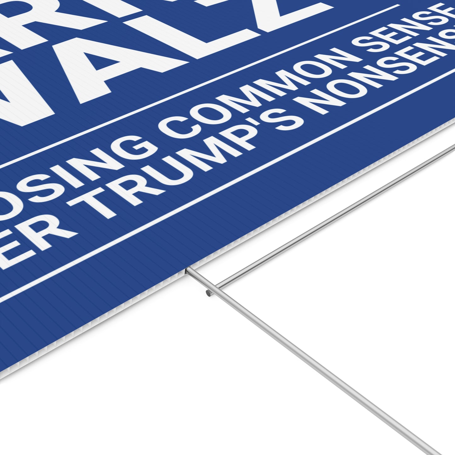 Choosing Common Sense Over Trump's Nonsense Yard Sign