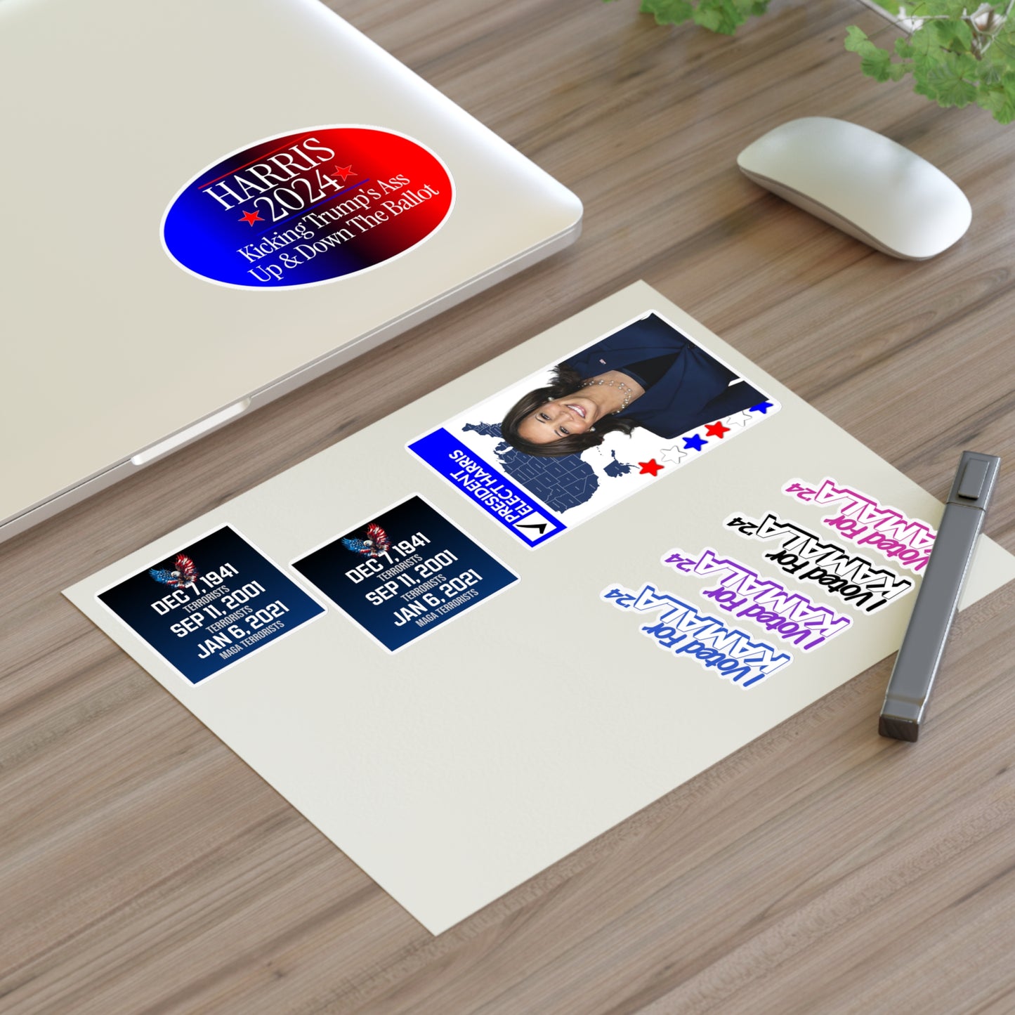 2024 Presidential Election Sticker Sheet